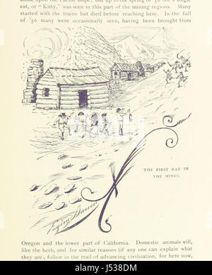 « Les Argonautes de Californie » est un récit historique des débuts de l'exploitation minière en Californie, détaillant les expériences des pionniers, des mineurs et les événements qui ont façonné le développement de l'État pendant l'ère de la ruée vers l'or. Banque D'Images