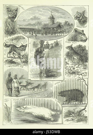 Cette image, tirée de la page 113 de la deuxième édition de « Walks in and around London », fait partie d'un ouvrage plus vaste décrivant les sites, les monuments et les points d'intérêt culturels de Londres au XIXe siècle. Le livre comprend des illustrations détaillées pour accompagner les descriptions des rues et des monuments historiques de Londonâ€ ™. Banque D'Images