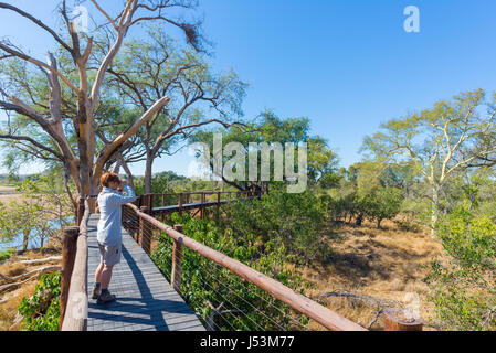 Les touristes à la recherche du panorama avec des jumelles à partir de point de vue sur la rivière Olifants, scenic et paysage coloré avec la faune dans le parc national Kruger Banque D'Images