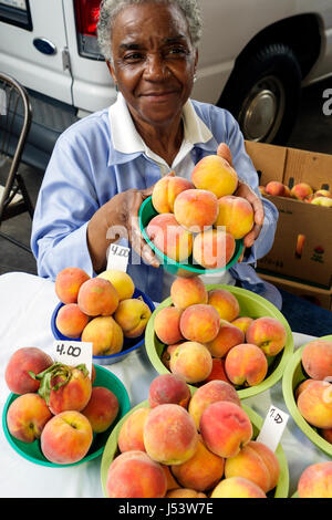 Little Rock Arkansas,River Market,Farmers Market,produits locaux,acheteurs,vendeurs,femmes noires,pêches,bols,fruits,alimentation,agriculture,AR0806 Banque D'Images