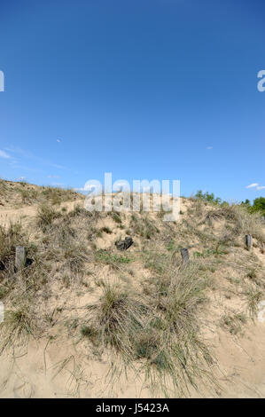 Paysage de dunes, ou l'Boberger Boberger Duenen, dans le sud-ouest de Hambourg, Allemagne. Banque D'Images