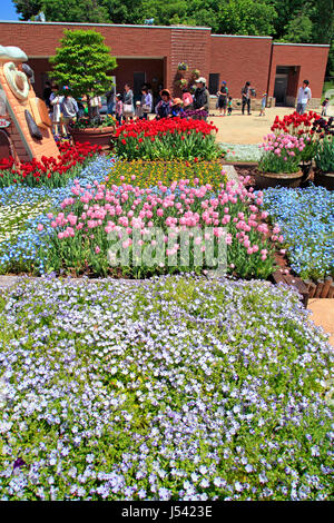 Hillside Park Echigo lit de fleur de la ville de Nagaoka Japon Niigata Banque D'Images