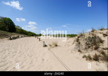 Paysage de dunes, ou l'Boberger Boberger Duenen, dans le sud-ouest de Hambourg, Allemagne. Banque D'Images