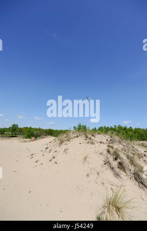 Paysage de dunes, ou l'Boberger Boberger Duenen, dans le sud-ouest de Hambourg, Allemagne. Banque D'Images