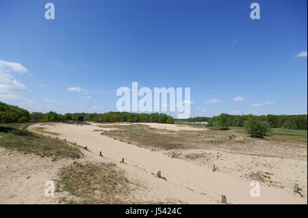 Paysage de dunes, ou l'Boberger Boberger Duenen, dans le sud-ouest de Hambourg, Allemagne. Banque D'Images