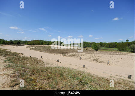 Paysage de dunes, ou l'Boberger Boberger Duenen, dans le sud-ouest de Hambourg, Allemagne. Banque D'Images