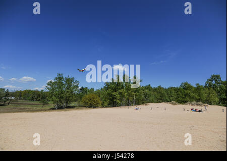 Paysage de dunes, ou l'Boberger Boberger Duenen, dans le sud-ouest de Hambourg, Allemagne. Banque D'Images