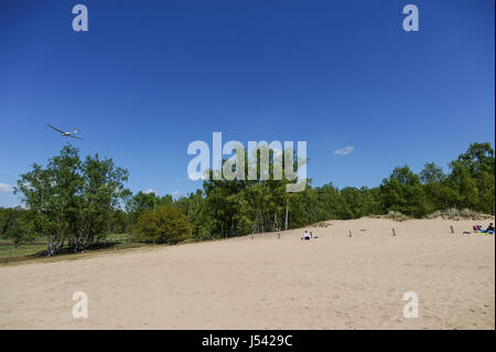 Paysage de dunes, ou l'Boberger Boberger Duenen, dans le sud-ouest de Hambourg, Allemagne. Banque D'Images