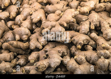 Les racines de gingembre frais afficher sur la vente dans le marché de légumes frais Banque D'Images