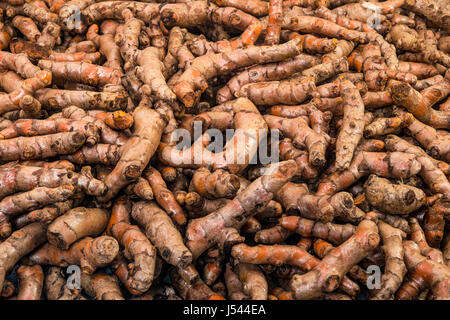 Panier plein de curcuma est exposée à la vente sur le marché de légumes frais Banque D'Images