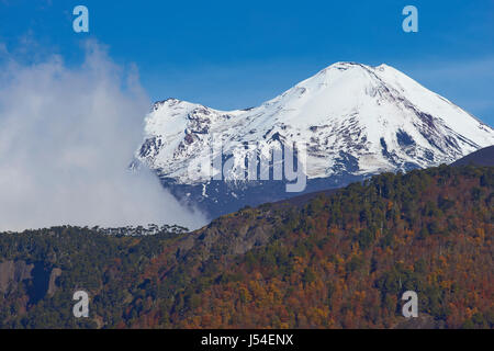 Le pic enneigé du volcan Llaima (3125 mètres) au-dessus de la lave et des forêts du Parc National Conguillio dans la région de l'Araucanie Banque D'Images