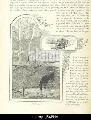 Image prise à partir de la page 558 de "pittoresque de l'Australasie. Cassell Edité par E. E. M. avec des illustrations ... Banque D'Images