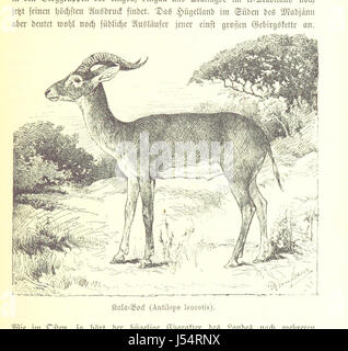 « Reisen in Afrika » de Dr Wilhelm Junkerâ€™ est un compte de voyage qui documente ses voyages en Afrique entre 1875 et 1886. Le livre, compilé à partir de ses journaux avec l'aide de R. Buchta, comprend des illustrations originales et fournit une vue détaillée des expériences et des observations de Junker au cours de ses voyages en Afrique. Banque D'Images