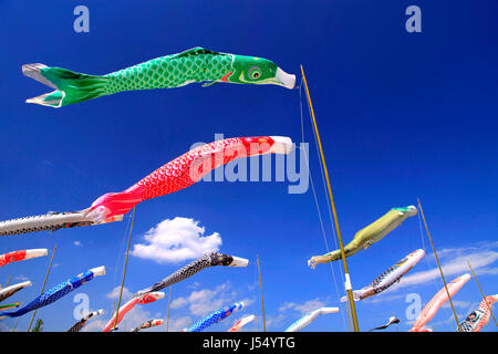 Carpe Koinobori Banderolles à Hachiojiyama Koen Park Ville Ota Gunma Japon Banque D'Images