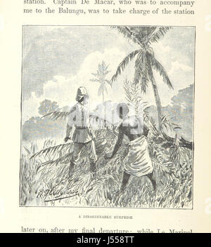 Image prise à partir de la page 130 de "mon second voyage à travers l'Afrique Équatoriale ... à ... 1886 et 1887 ... ... Traduit par M. J. A. Bergmann. Avec une carte ... et ... les illustrations, etc' Banque D'Images