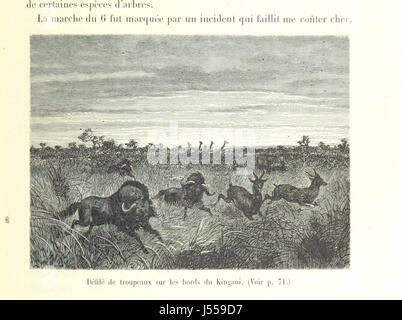 Image prise à partir de la page 87 de "Les Lacs de l'Afrique équatoriale. Voyage d'exploration exécuté de 1883 à 1885 ... Ouvrage contenant 161 gravures d'après les dessins de Riou, et 2 cartes' Banque D'Images