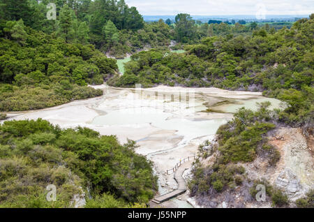 Wai-O-Tapu Thermal Wonderland qui est situé dans la région de Rotorua, Nouvelle-Zélande. Banque D'Images