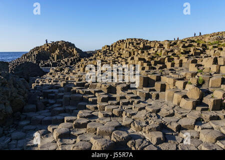 La célèbre éruption volcanique antique - Giant's Causeway du comté d'Antrim, en Irlande du Nord Banque D'Images