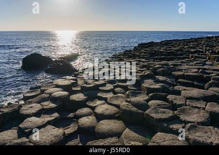 La célèbre éruption volcanique antique - Giant's Causeway du comté d'Antrim, en Irlande du Nord Banque D'Images