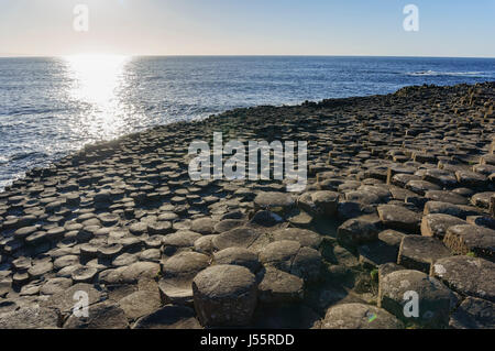 La célèbre éruption volcanique antique - Giant's Causeway du comté d'Antrim, en Irlande du Nord Banque D'Images