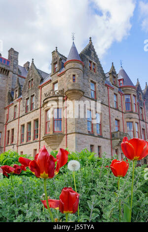 Vue extérieure de l'Irlande du Nord Belfast Castle, Banque D'Images