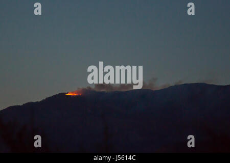 Tucson, Arizona - un feu de forêt, feu sur Mt. Lemmon dans les Monts Catalina. Banque D'Images