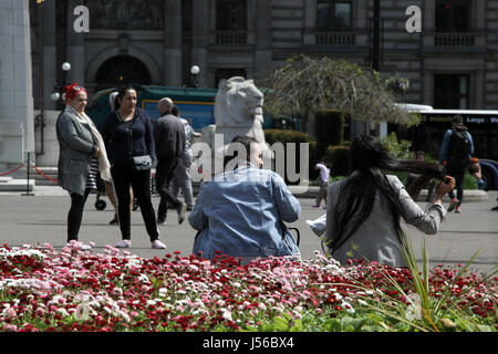 Glasgow 17 mai 2017. Une belle journée chaude et ensoleillée dans le centre-ville de Glasgow. Des travailleurs, jouissant du déjeuner en plein air dans la région de George Square. Alan Oliver/Alamy Live News Banque D'Images