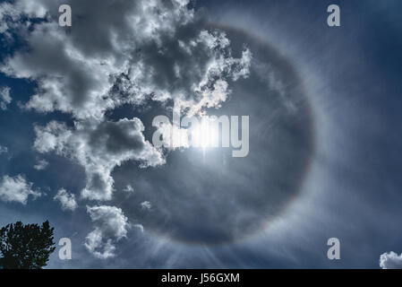 Parhelion au printemps ciel avec nuages et arbre vu de le petit village de Gressoney Saint Jean dans la vallée d'aoste, Italie Banque D'Images