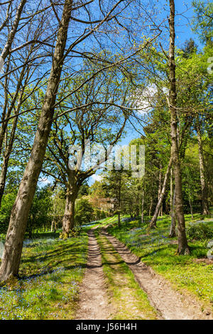 Parcevall Hall Gardens, près de Appletreewick, Wharfedale, Yorkshire Dales National Park, North Yorkshire, England, UK Banque D'Images