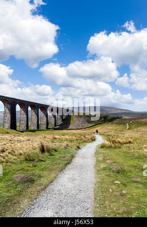 Walker sur sentier par le viaduc de Ribblehead, Yorkshire Dales National Park, North Yorkshire, England, UK Banque D'Images