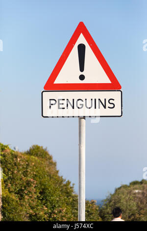 Attention pingouins signe en blocs, Parc National de Table Mountain, Afrique du Sud Banque D'Images