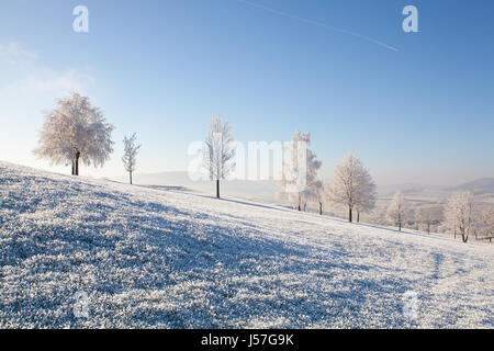 La neige et le givre couverts d'arbres dans le matin glacial. Paysage d'hiver incroyable. Banque D'Images