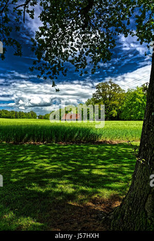 Arches de l'église d'origine à Shobdon, Herefordshire forment une folie à l'intérieur de parc qui peut se visiter. Banque D'Images