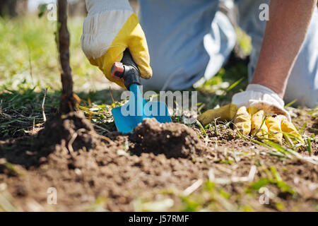 Les mains de l'écopage sol dans jardin Banque D'Images