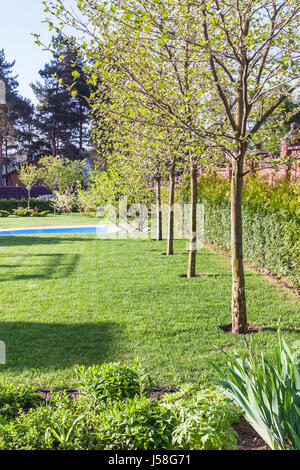 Pelouse bien entretenu avec piscine sur l'arrière-cour de maison de campagne à soir de printemps Banque D'Images