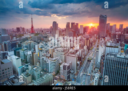 Tokyo. Cityscape de droit de Tokyo, au Japon pendant le coucher du soleil. Banque D'Images