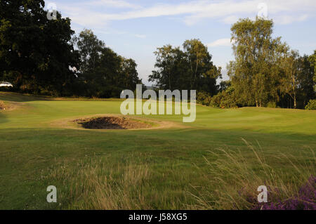 Vue sur Heather et de fétuque de l'herbe pour petit bunker et 9e vert, Reigate Heath Golf Club, Reigate, Surrey, Angleterre Banque D'Images