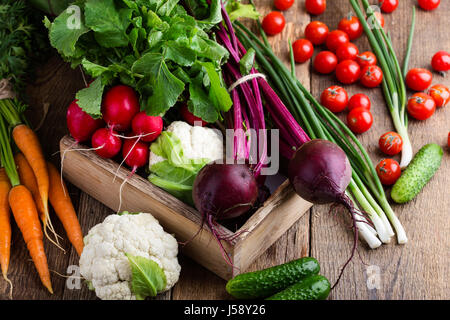 La vie encore la récolte. La composition des produits frais bio légumes, betteraves et carottes, chou-fleur et rudish sur table en bois rustique Banque D'Images
