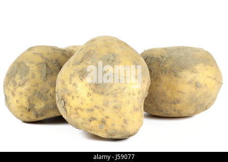 Pommes de terre (variété belana) isolé sur fond blanc Banque D'Images