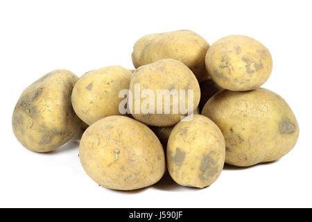 Pommes de terre (variété belana) isolé sur fond blanc Banque D'Images