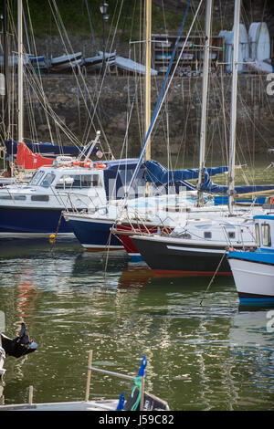 Visites de bateaux à Port de Tenby, Pembrokeshire, Pays de Galles, Royaume-Uni Banque D'Images