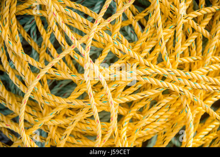 De couleur jaune corde au port de Tenby, Pembrokeshire, Pays de Galles, Royaume-Uni Banque D'Images