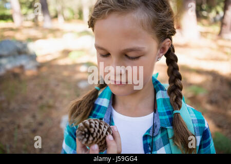 Concentrés girl looking at pine cone dans la forêt Banque D'Images