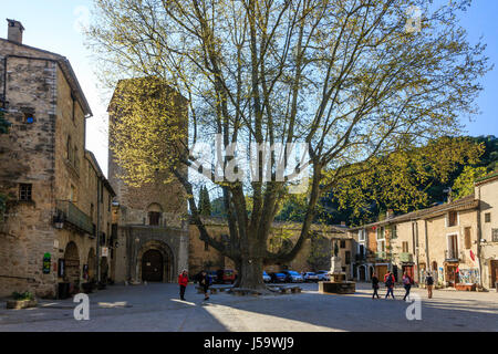 La France, l'Hérault, Saint Guilhem le Désert, étiqueté Les Plus Beaux Villages de France, a square et un vieux platane Banque D'Images