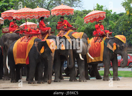 AYUTHAYA THAILANDE-SEPTEMBRE 6 : elephant cornac se détendre à dos d'éléphant après prendre un visiteur de ride autour de vieux temple à Ayuthaya célèbre world heri Banque D'Images
