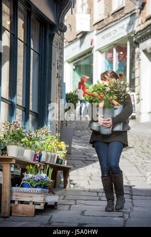 Stock frais livrés à Bramble & Wild floral design sur Catherine Hill à Frome, Somerset, UK Banque D'Images