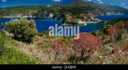 Assos, Kefalonia, Grèce, 2017. Le village d'Assos sur la populaire île grecque de Céphalonie, vue d'une colline couverte de flammes rouges des arbres. Banque D'Images