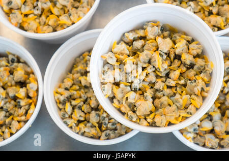 Les fruits de mer,frais,les poissons,Swansea,piscine,au Pays de Galles, Royaume-Uni,UK, Banque D'Images