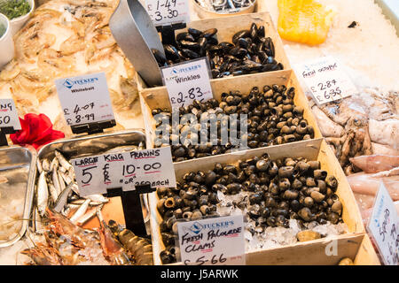 Les fruits de mer,frais,les poissons,Swansea,piscine,au Pays de Galles, Royaume-Uni,UK, Banque D'Images