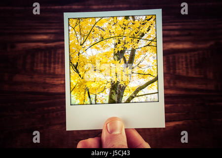 Male hand holding photographie polaroïd de yello érable à l'automne, avec copie espace. Des souvenirs de voyage de bon temps scrapbooking Banque D'Images